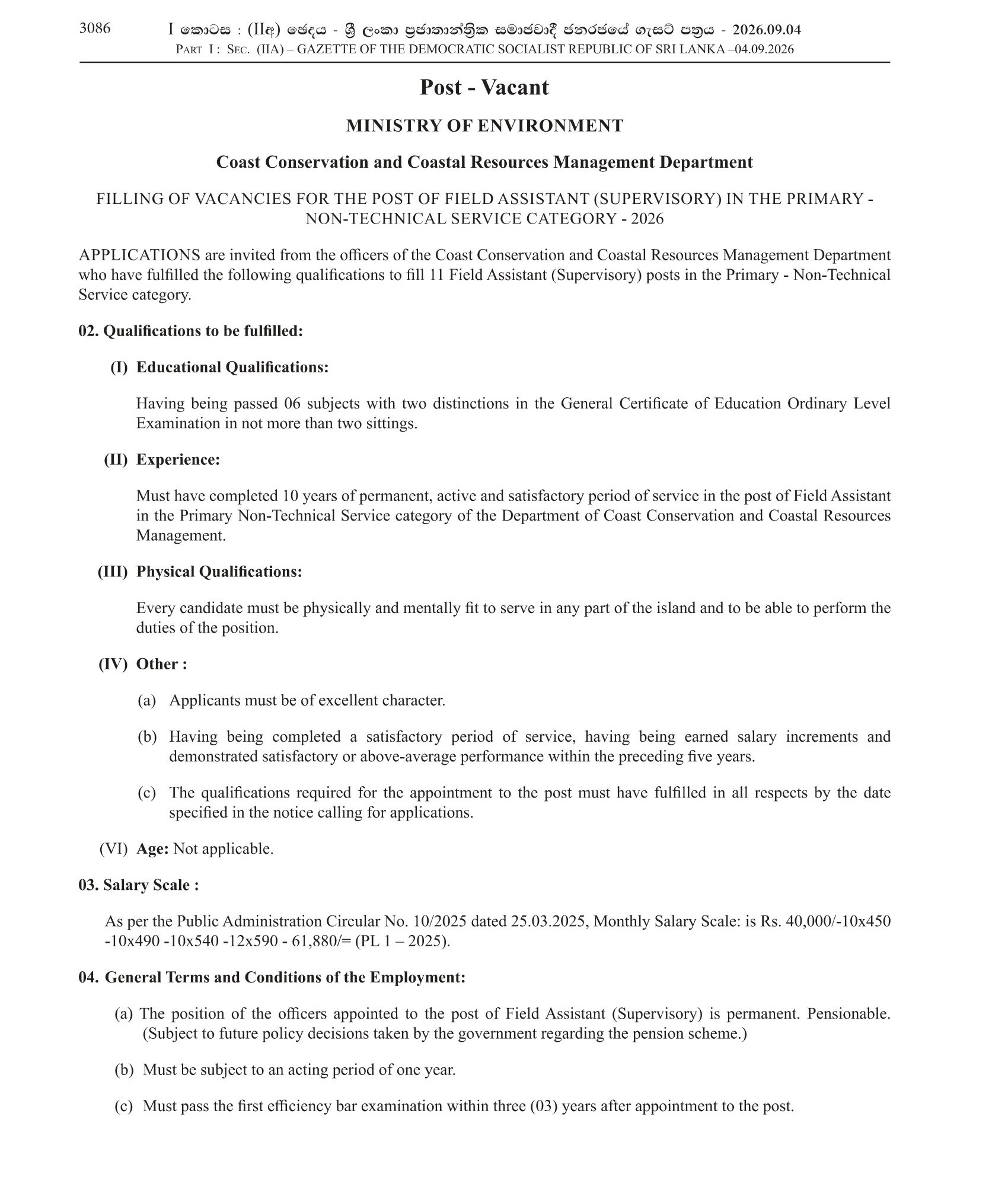 Job Advertisement 6
